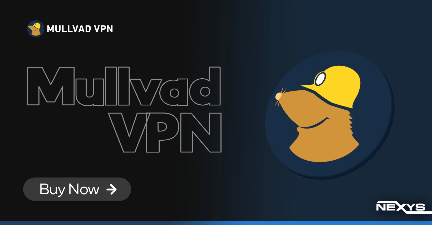 Mullvad VPN